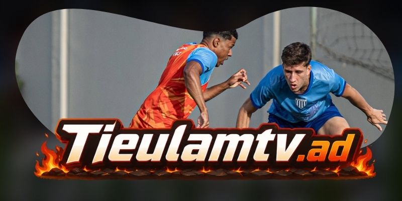 Gợi ý chốt kèo tổng hợp trận Avaí FC vs CRB AL ngày 12/08