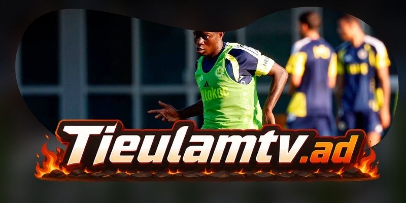 Gợi ý chốt kèo tổng hợp trận Fenerbahce vs Lyon ngày 19/08